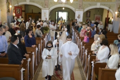 dsc6412