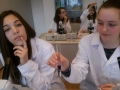 CAM12354