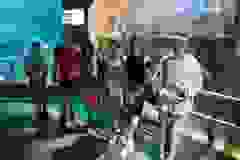 kenutabor-2024-069