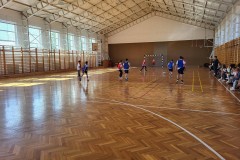 ESSD-2026-003