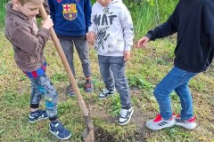 Fenntarthatosagi-temahet-12