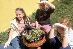 Fenntarthatosagi-temahet-14