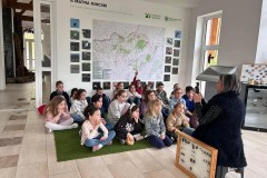 Fenntarthatosagi-temahet-37