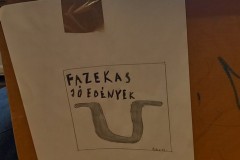Hon-es-nepismeret-projekt-08
