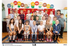 1B