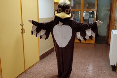 Roplabda-Diakolimpia-2025-015