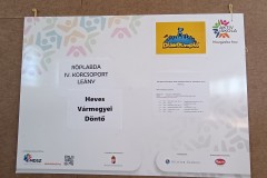 Roplabda-Diakolimpia-2025-017